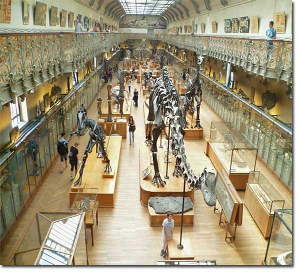 museum–histoire-naturel