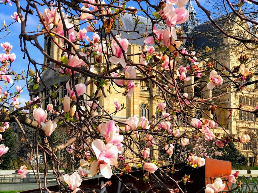 Paris Primavera