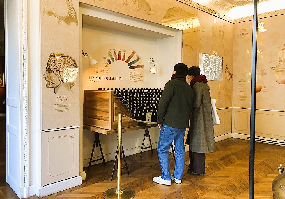 Visita museu do perfume de Paris